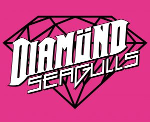 Logo Diamond Seagulls pink