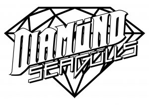 Diamond Seagulls Logo Vector
